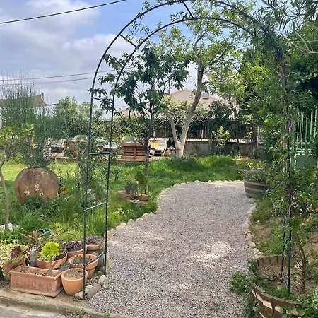 Les Volets Verts * Saint-Laurent-de-la-Cabrerisse